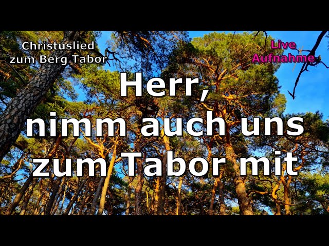 Herr, nimm auch uns zum Tarbor mit