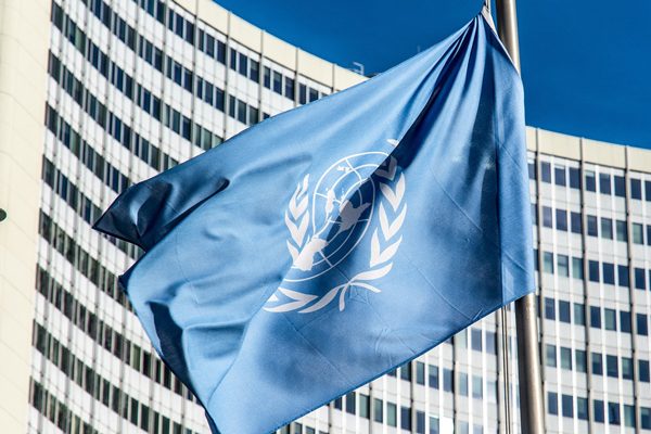 ngo-united-nations